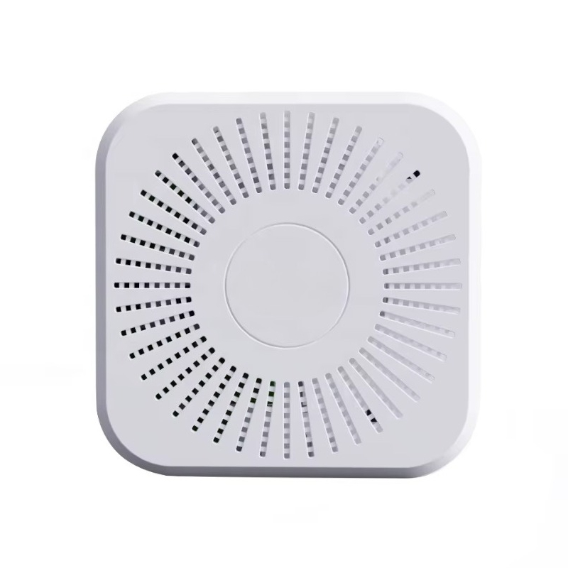 Vaping Air - LoRaWAN WiFi 4G Luchtkwaliteitssensoren CO2 PM2.5